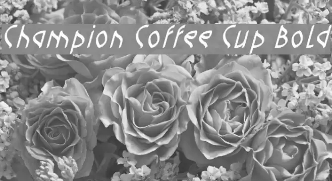 Champion Coffee Cup Bold Font examples
