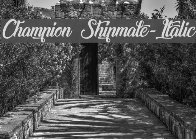 Champion Shipmate-Italic Font examples