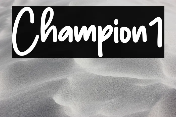 Champion1 Example 1