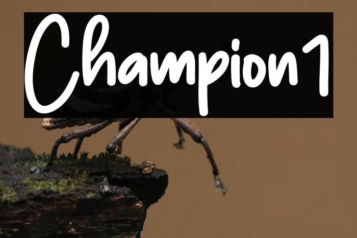 Champion1 Example 2