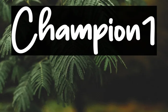 Champion1 Example 3