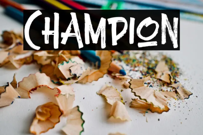 Champion Example 1