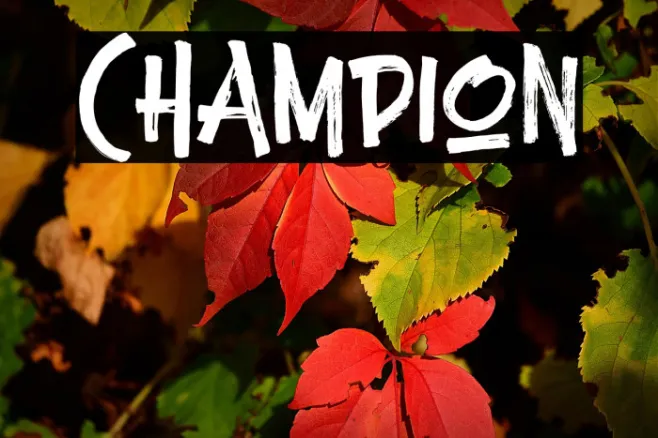 Champion Example 3