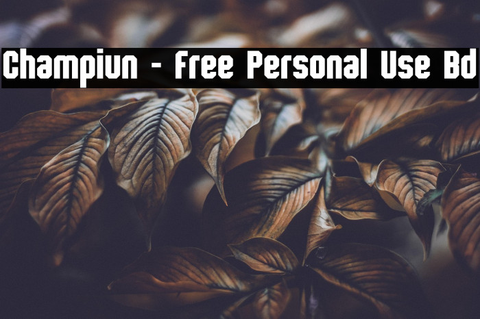 Champiun - Free Personal Use Bd Example 3