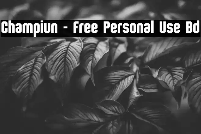 Champiun - Free Personal Use Bd Caratteri examples