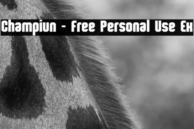 Champiun - Free Personal Use Ex फ़ॉन्ट examples