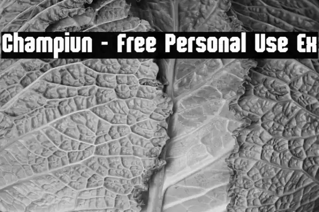 Champiun - Free Personal Use Ex फ़ॉन्ट examples