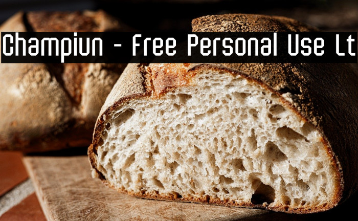 Champiun - Free Personal Use Lt Example 1
