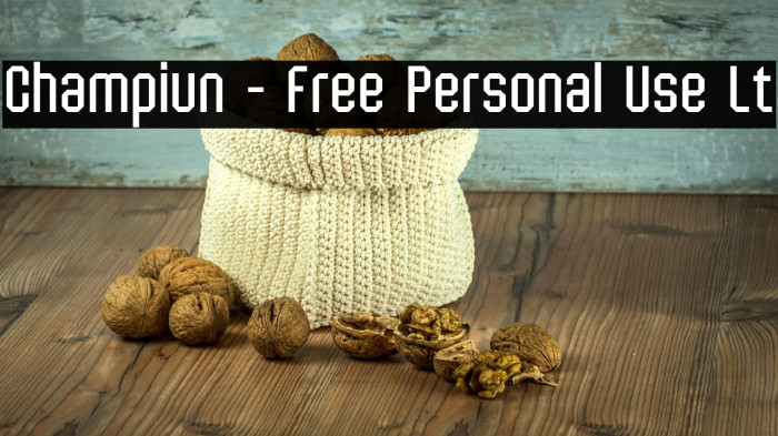 Champiun - Free Personal Use Lt Example 2