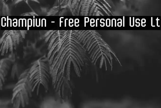 Champiun - Free Personal Use Lt फ़ॉन्ट examples