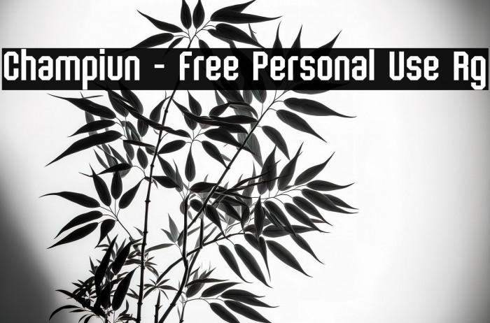 Champiun - Free Personal Use Rg Example 3