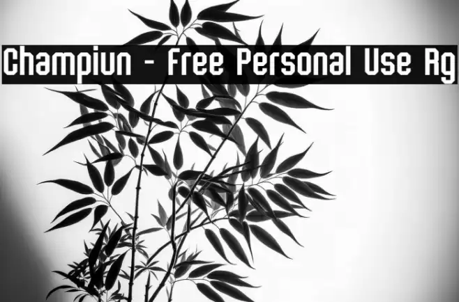 Champiun - Free Personal Use Rg फ़ॉन्ट examples