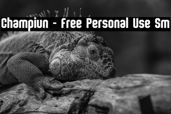 Champiun - Free Personal Use Sm फ़ॉन्ट examples