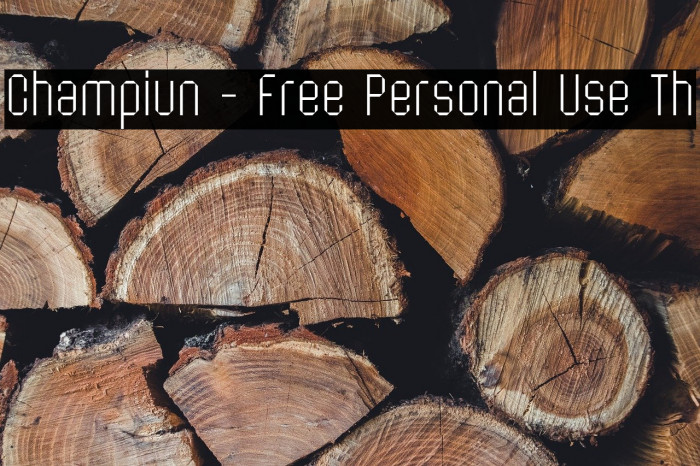 Champiun - Free Personal Use Th Example 2