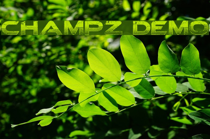 Champz DEMO Font examples