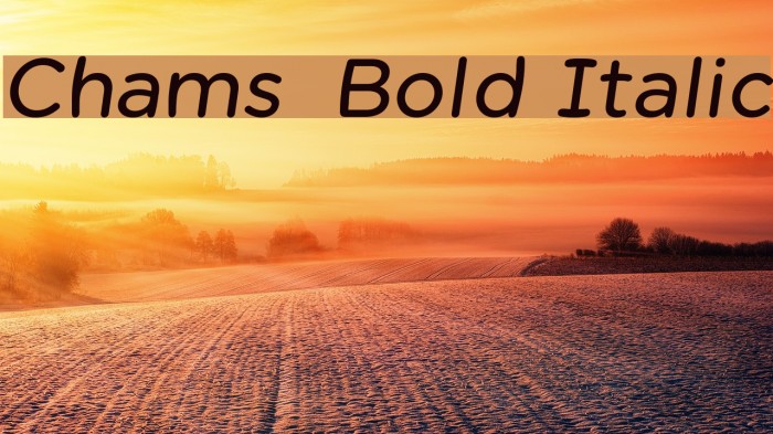 Chams Bold Italic Font examples