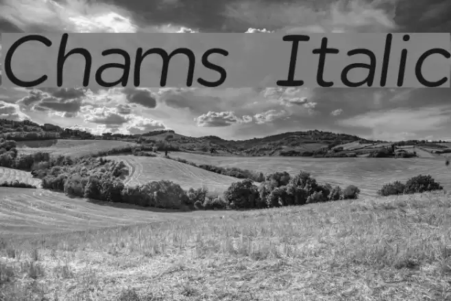 Chams  Italic خط examples