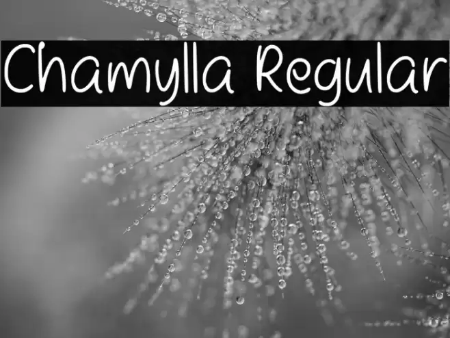 Chamylla Regular Font examples