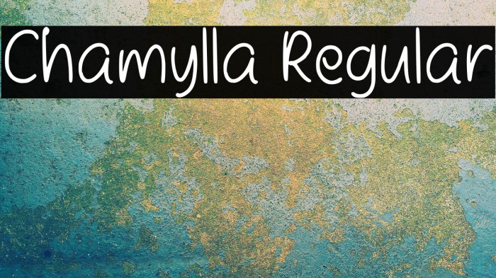Chamylla Regular Example 2
