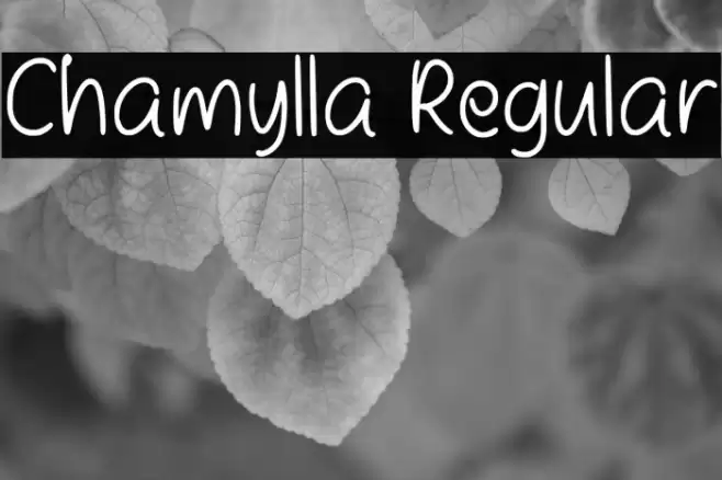 Chamylla Regular Font examples