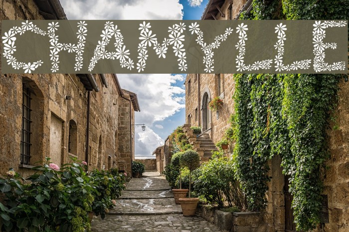 Chamylle Font examples