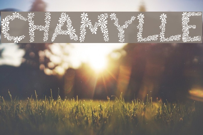 Chamylle Font examples