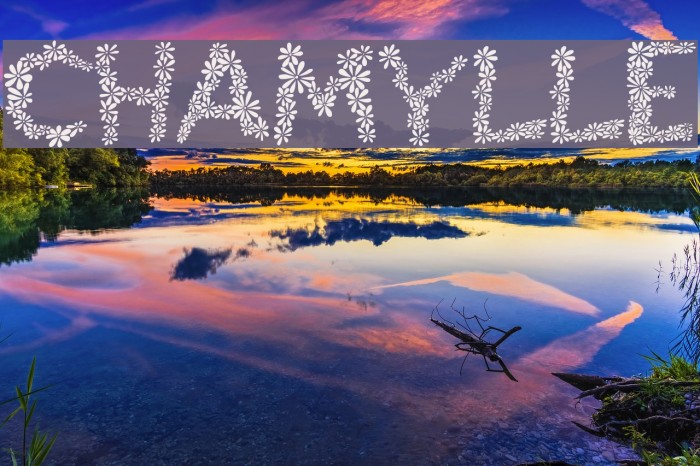 Chamylle Font examples
