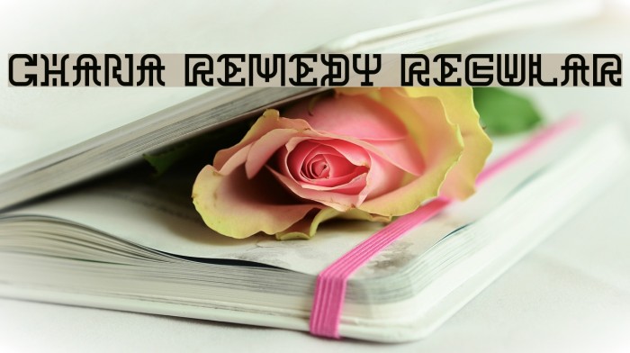 Chana Remedy Regular Font examples