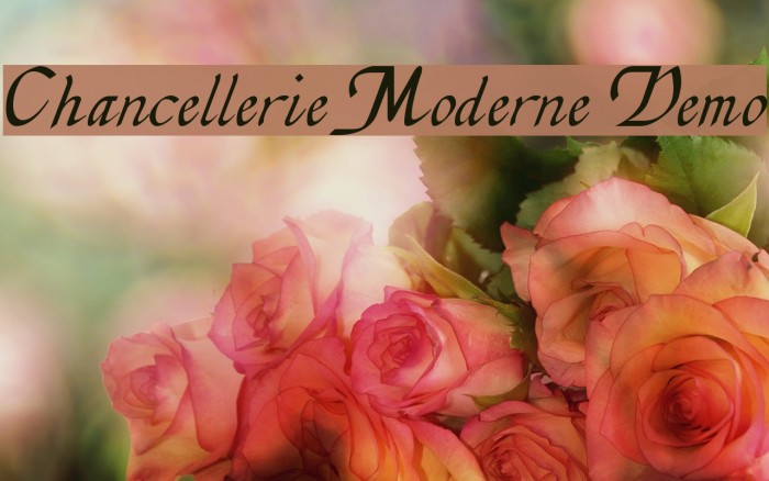Chancellerie Moderne Demo Font examples