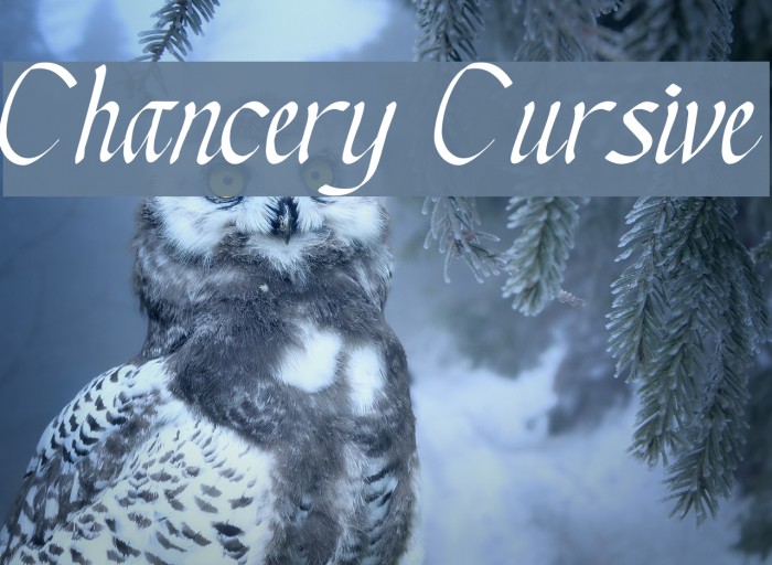 Chancery Cursive Font examples