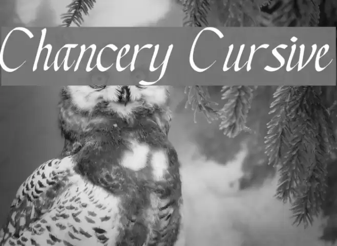 Chancery Cursive フォント examples