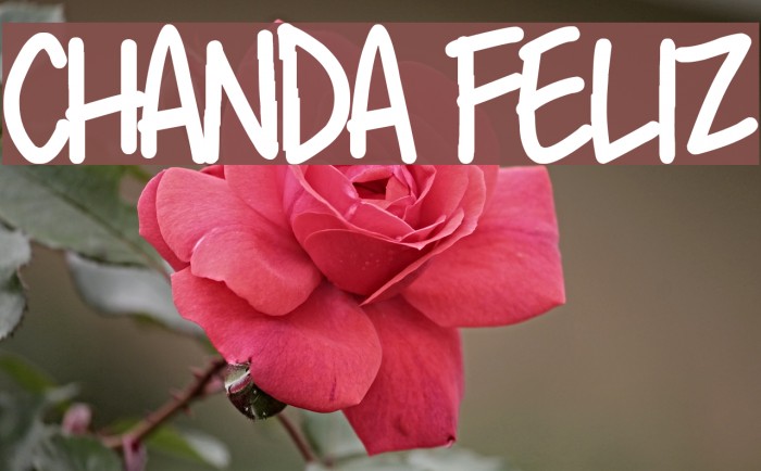 Chanda Feliz फ़ॉन्ट examples