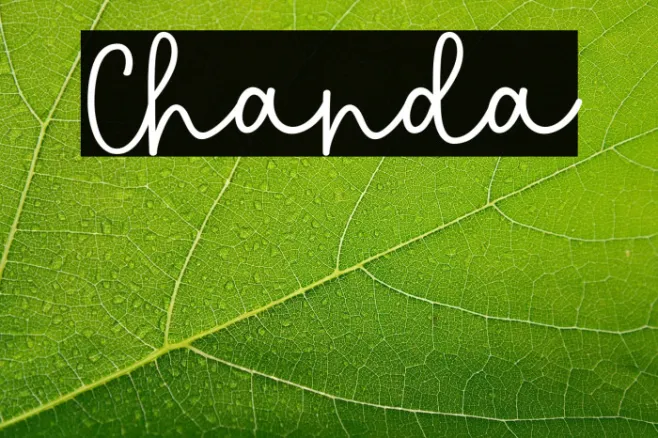 Chanda Example 1