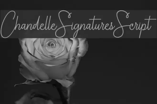 ChandelleSignaturesScript Font examples