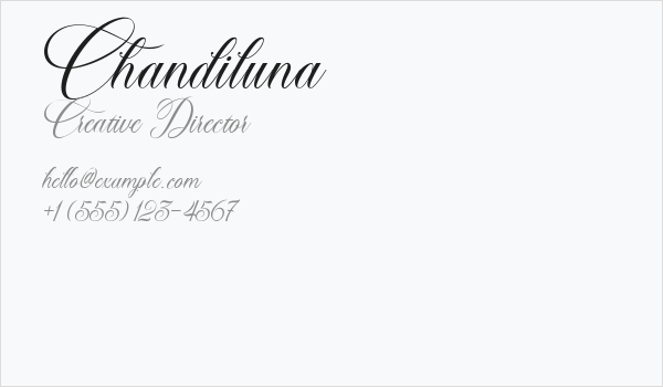 Chandiluna Business Card