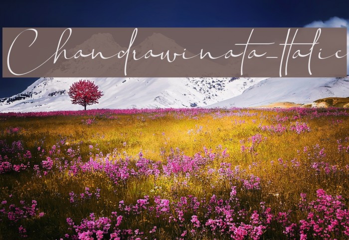 Chandrawinata-Italic Font examples