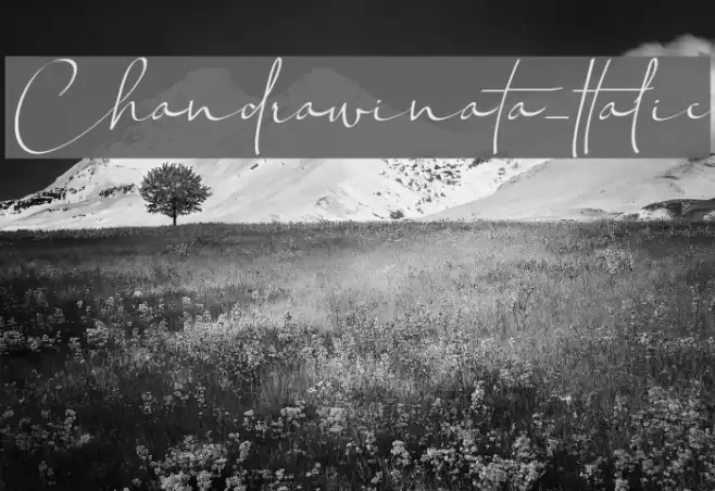 Chandrawinata-Italic Caratteri examples