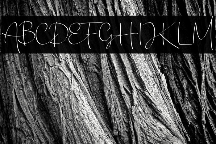 Chandrawinata-Regular Example 1