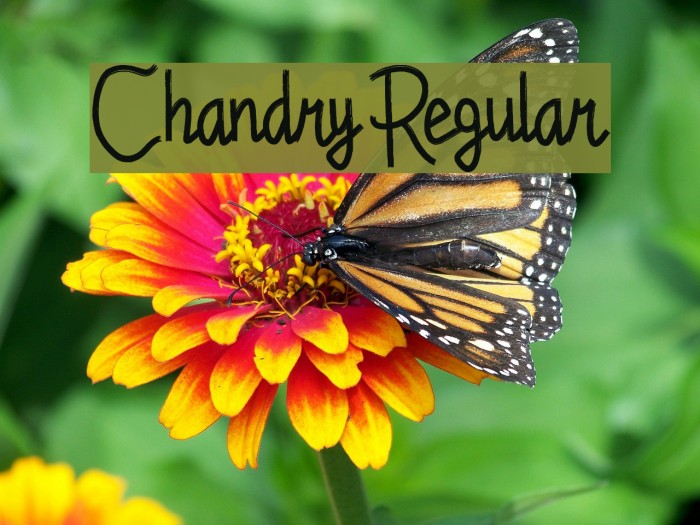 Chandry Regular Font examples