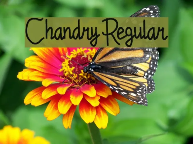 Chandry Regular Example 1