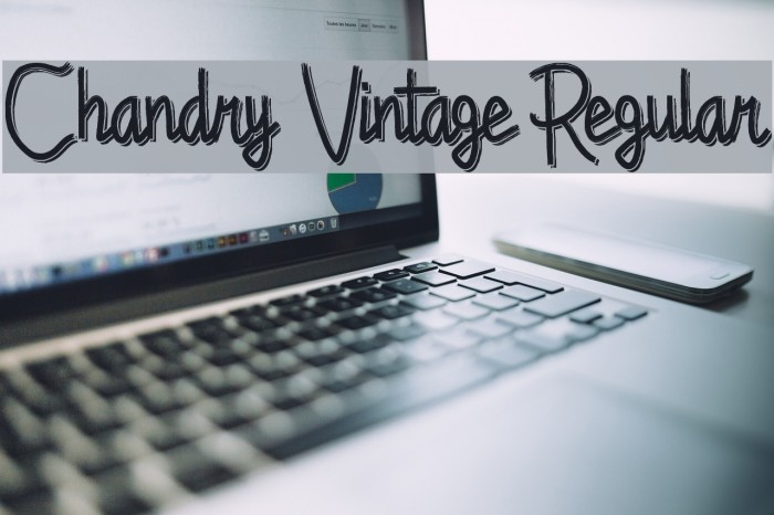 Chandry Vintage Regular Fonte examples