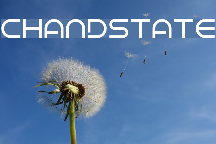 Chandstate Font examples