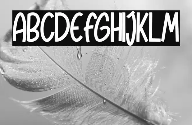 Chanelle Шрифта examples