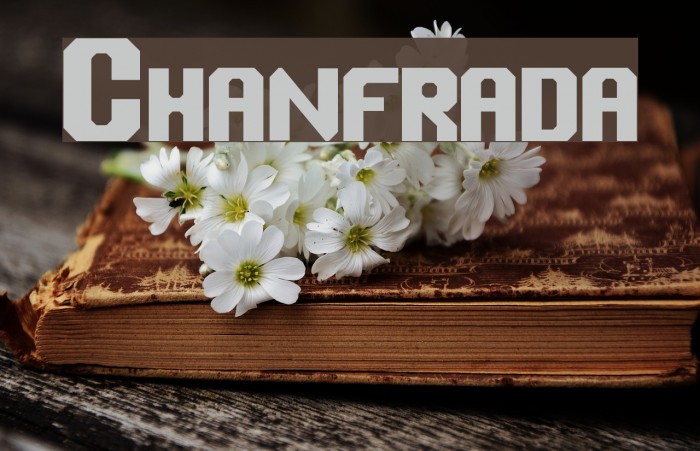 Chanfrada Font examples