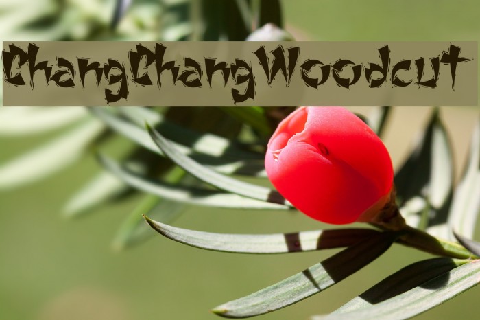 ChangChangWoodcut Font examples