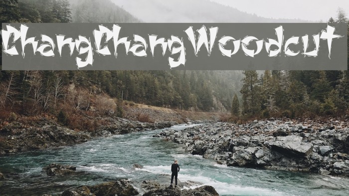 ChangChangWoodcut Font examples