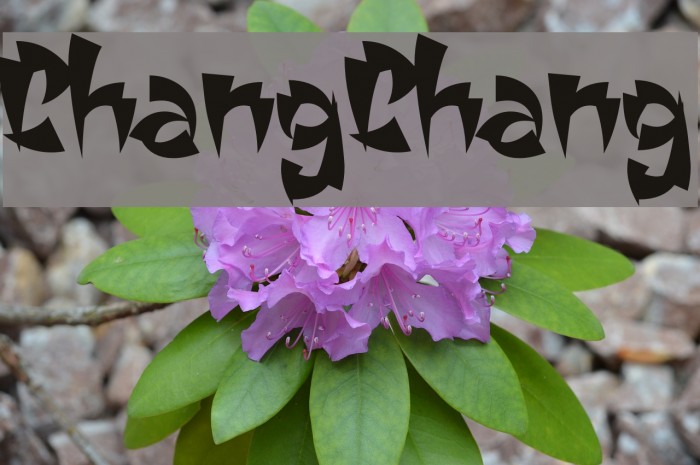 ChangChang Font examples