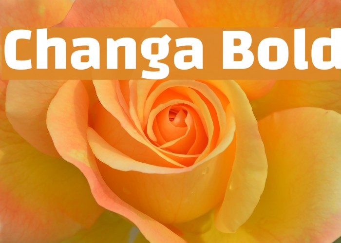 Changa Bold Font examples