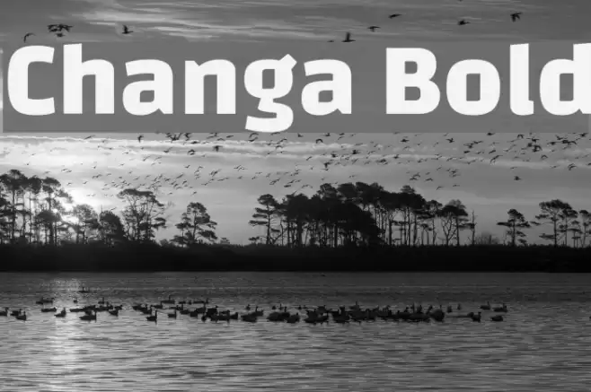 Changa Bold Font examples