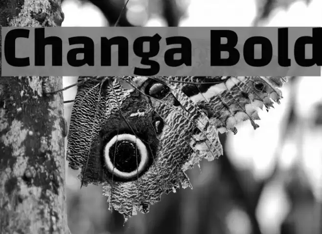 Changa Bold Font examples